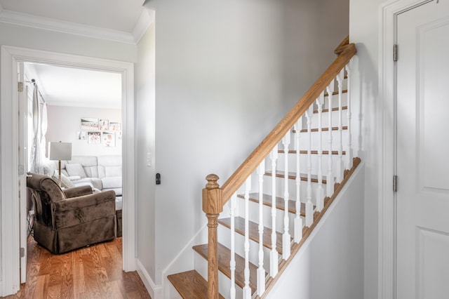 123 Lasalle Dr, Bangor, ME 04401 - stairs featuring ornamental molding and wood finished floors
