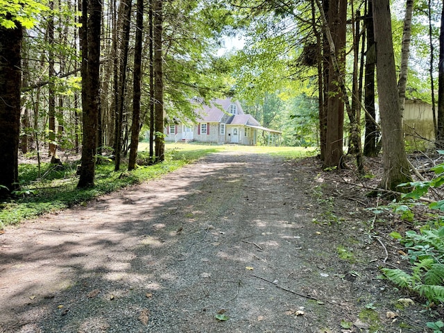 1606 Avenue Rd, Exeter, ME 04435 - view of front of home with dirt driveway