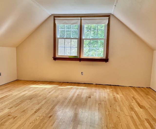 1606 Avenue Rd, Exeter, ME 04435 - additional living space with light wood-style floors and lofted ceiling