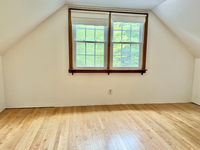1606 Avenue Rd, Exeter, ME 04435 - additional living space featuring wood finished floors, vaulted ceiling, and healthy amount of natural light