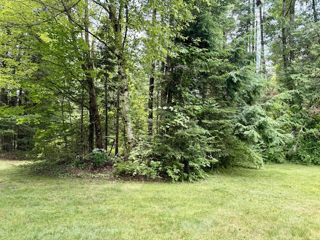 1606 Avenue Rd, Exeter, ME 04435 - view of grassy yard featuring a view of trees