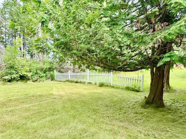 1606 Avenue Rd, Exeter, ME 04435 - view of yard