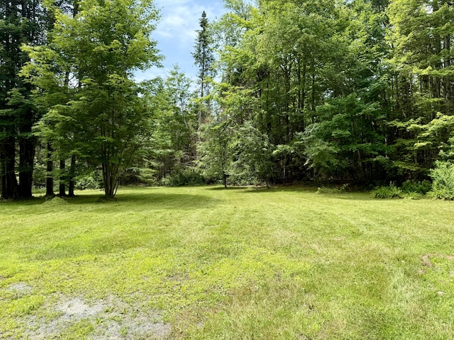 1606 Avenue Rd, Exeter, ME 04435 - view of green lawn featuring a view of trees