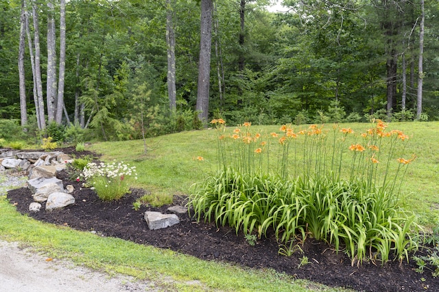 1031 Hallowell Rd, Durham, ME 04222 - view of yard featuring a wooded view