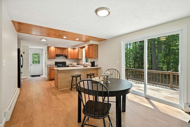 117 Badger Cir, Limerick, ME 04048 - dining area featuring a baseboard radiator, light wood finished floors, a textured ceiling, and recessed lighting