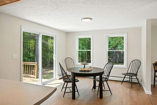 117 Badger Cir, Limerick, ME 04048 - dining space with plenty of natural light, wood finished floors, baseboard heating, and a textured ceiling