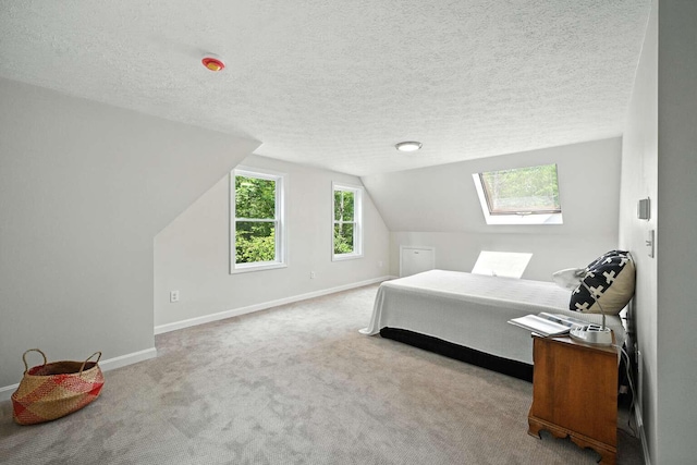 117 Badger Cir, Limerick, ME 04048 - carpeted bedroom featuring lofted ceiling, a textured ceiling, and a skylight