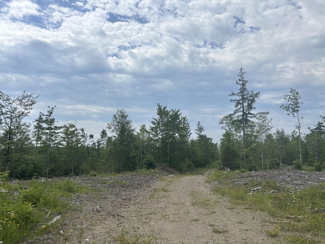 0A Clearcut Lodge Rd, Springfield, ME 04487