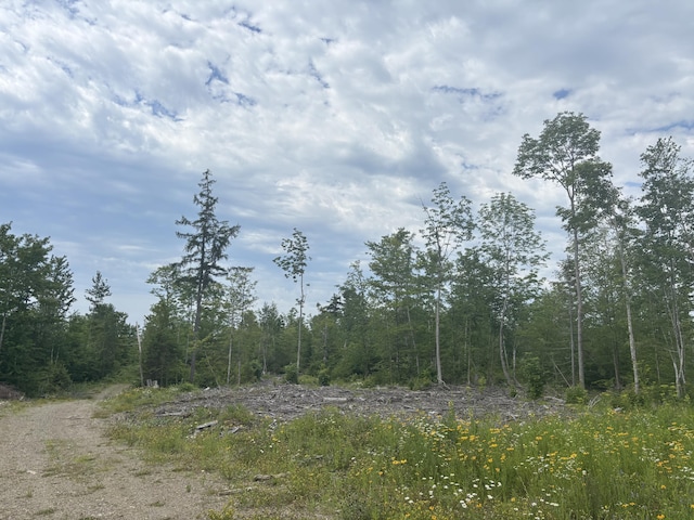 0A Clearcut Lodge Rd, Springfield, ME 04487