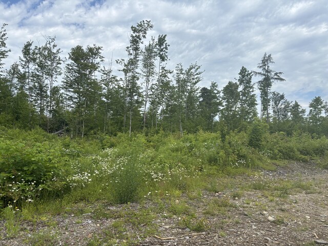0A Clearcut Lodge Rd, Springfield, ME 04487