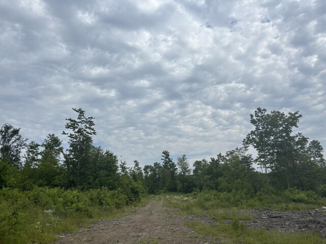 0A Clearcut Lodge Rd, Springfield, ME 04487