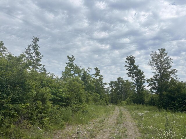 0A Clearcut Lodge Rd, Springfield, ME 04487