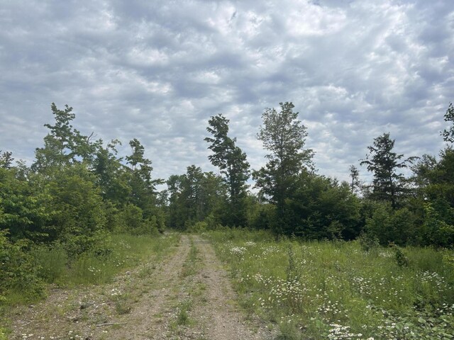 0A Clearcut Lodge Rd, Springfield, ME 04487