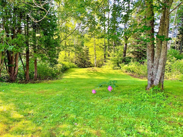 23 Cottage Siding Rd, Saint Francis, ME 04774 - photo 4