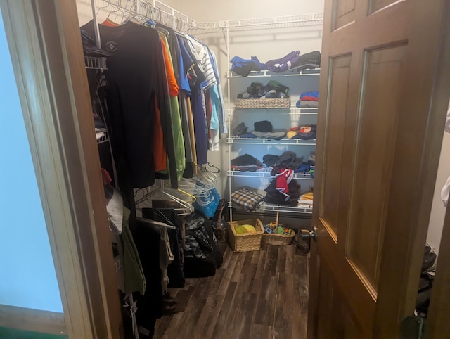 9 Deer Hill Ln, Hampden, ME 04444 - spacious closet with wood finished floors