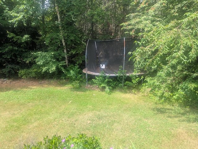 9 Deer Hill Ln, Hampden, ME 04444 - view of green lawn featuring a trampoline and a wooded view