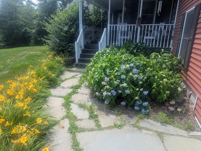 9 Deer Hill Ln, Hampden, ME 04444 - view of yard
