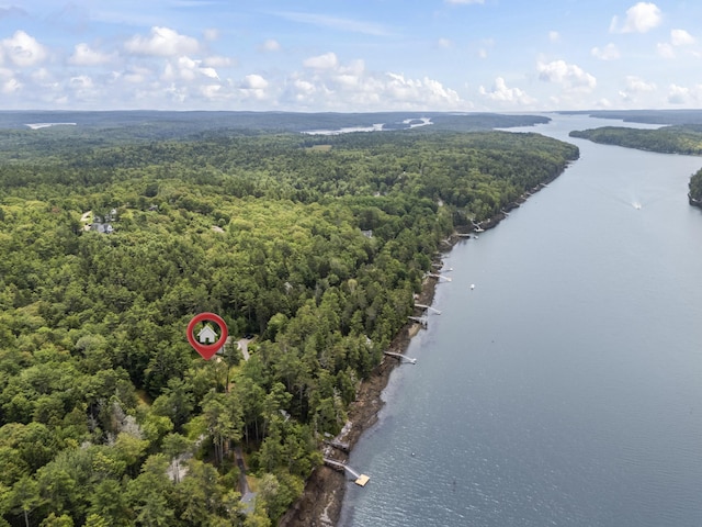 490 Cross Point Rd, Edgecomb, ME 04556 - aerial view of a forest and a nearby body of water