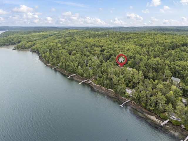 490 Cross Point Rd, Edgecomb, ME 04556 - bird's eye view of a heavily wooded area and a nearby body of water