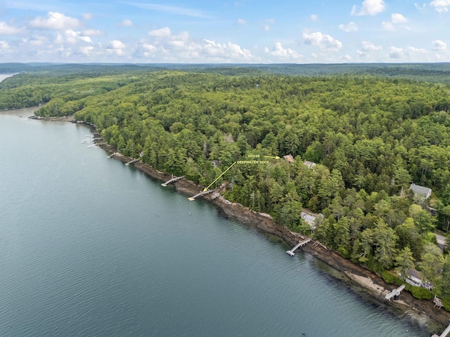 490 Cross Point Rd, Edgecomb, ME 04556 - bird's eye view of a forest and a large body of water