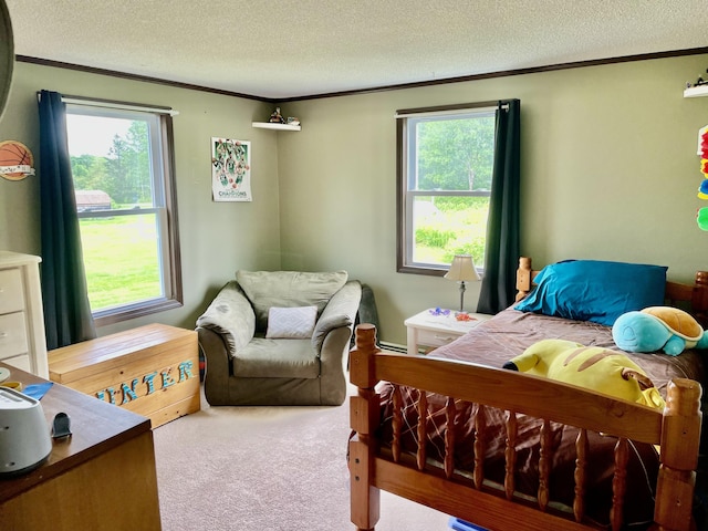 96 N Main St, Milbridge, ME 04658 - bedroom with a textured ceiling, crown molding, carpet floors, and multiple windows