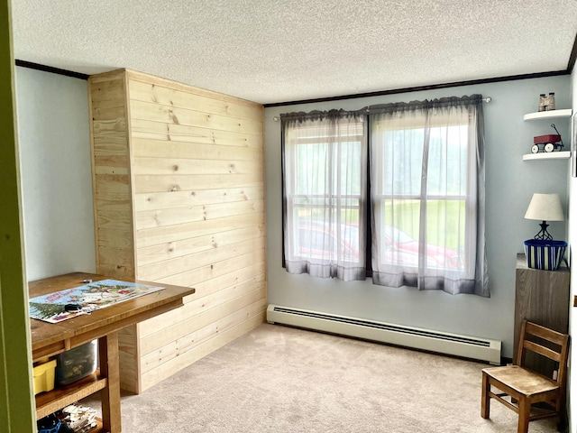 96 N Main St, Milbridge, ME 04658 - living area with a baseboard radiator, a textured ceiling, and carpet flooring