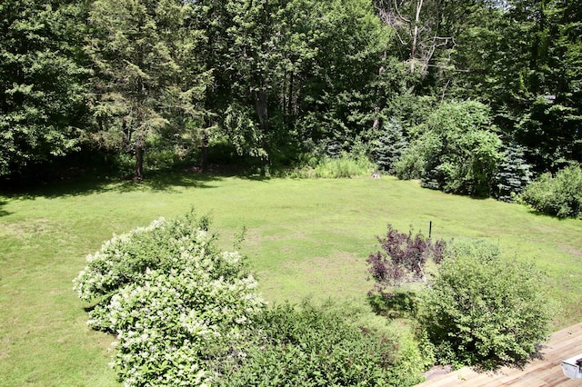 245 Narragansett St, Gorham, ME 04038 - photo 59