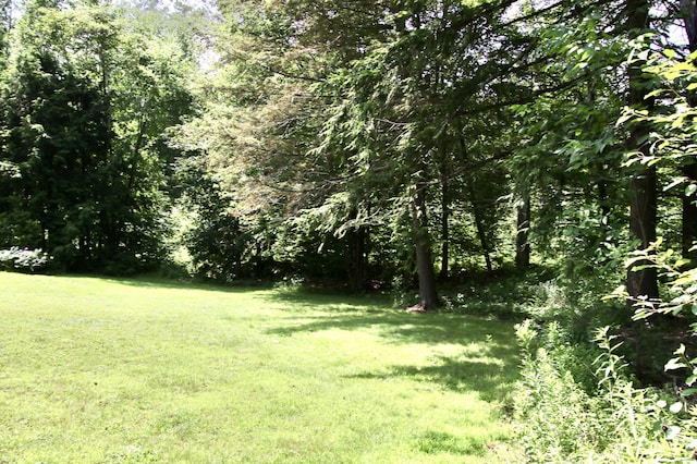 245 Narragansett St, Gorham, ME 04038 - photo 84