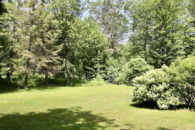 245 Narragansett St, Gorham, ME 04038 - photo 86