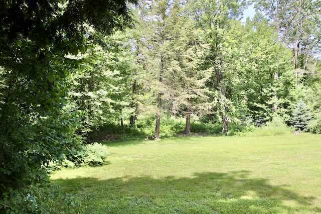 245 Narragansett St, Gorham, ME 04038 - photo 87
