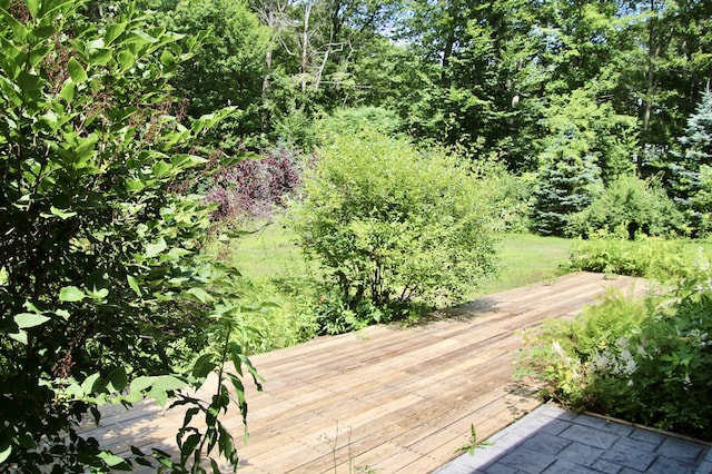 245 Narragansett St, Gorham, ME 04038 - photo 77