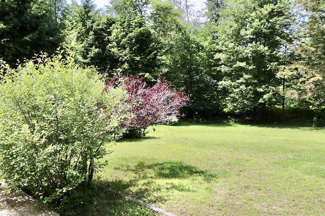 245 Narragansett St, Gorham, ME 04038 - photo 83