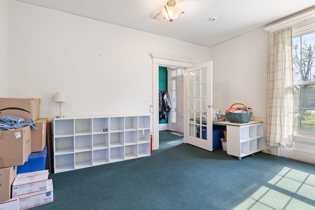 20 Winter St, Augusta, ME 04330 - recreation room featuring carpet flooring and french doors