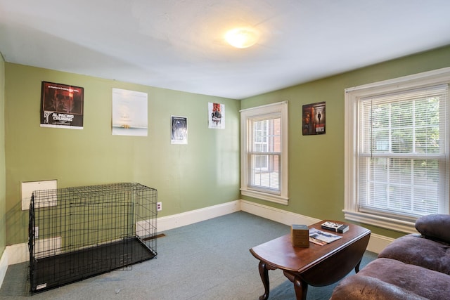 20 Winter St, Augusta, ME 04330 - living area featuring carpet floors and plenty of natural light