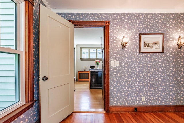 42 Sargent St, Westbrook, ME 04092 - corridor featuring wallpapered walls, hardwood / wood-style flooring, and crown molding