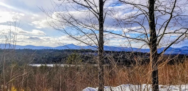 R01-044D Christain Hill Rd, Lovell, ME 04051 - photo 6