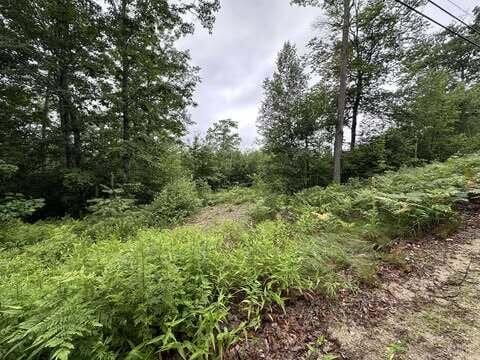 R01-044D Christain Hill Rd, Lovell, ME 04051 - photo 2