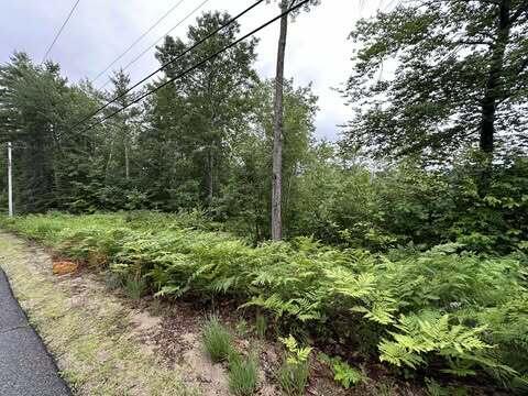 R01-044D Christain Hill Rd, Lovell, ME 04051 - photo 3