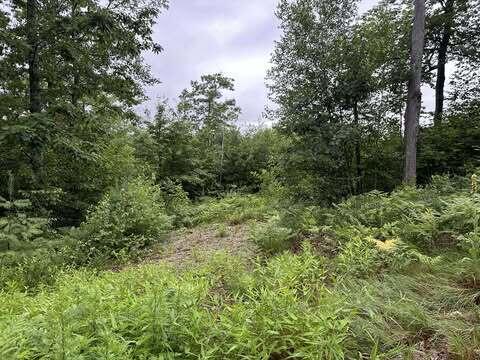 R01-044D Christain Hill Rd, Lovell, ME 04051 - photo 1