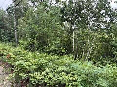 R01-044D Christain Hill Rd, Lovell, ME 04051 - photo 4