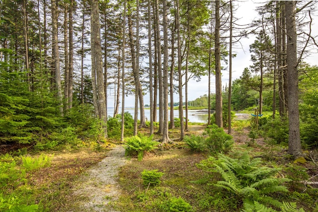 133 Scraggle Point Rd, Saint George, ME 04859 - view of yard with a water view