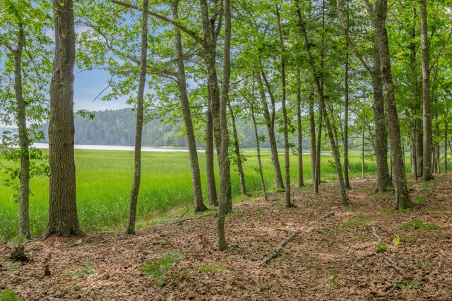 372 Bald Head Rd, Arrowsic, ME 04530 - view of yard