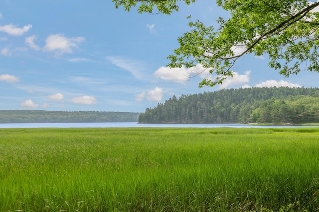372 Bald Head Rd, Arrowsic, ME 04530 - water view featuring a forest