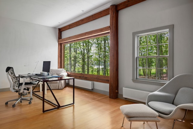 372 Bald Head Rd, Arrowsic, ME 04530 - office space with radiator heating unit, plenty of natural light, and light wood-type flooring