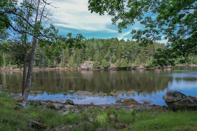 15 Tranquility Way, Ellsworth, ME 04605 - water view featuring a forest