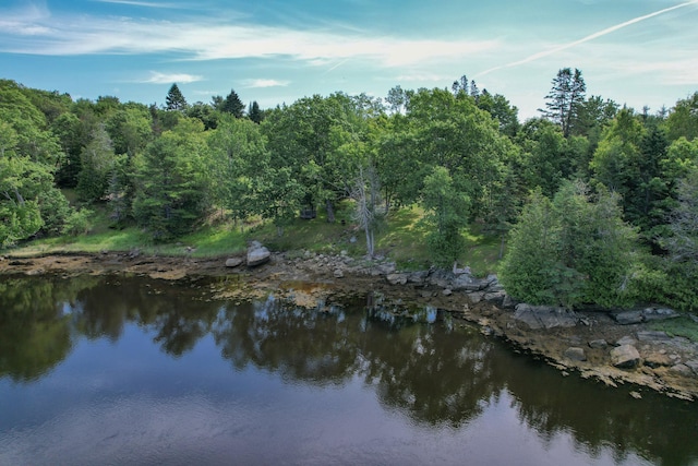 15 Tranquility Way, Ellsworth, ME 04605 - water view featuring a forest