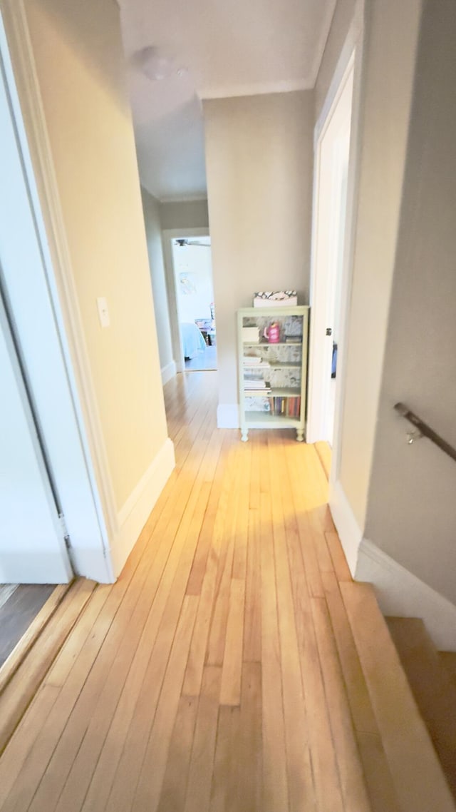 21 Cottage St, Bangor, ME 04401 - photo 31