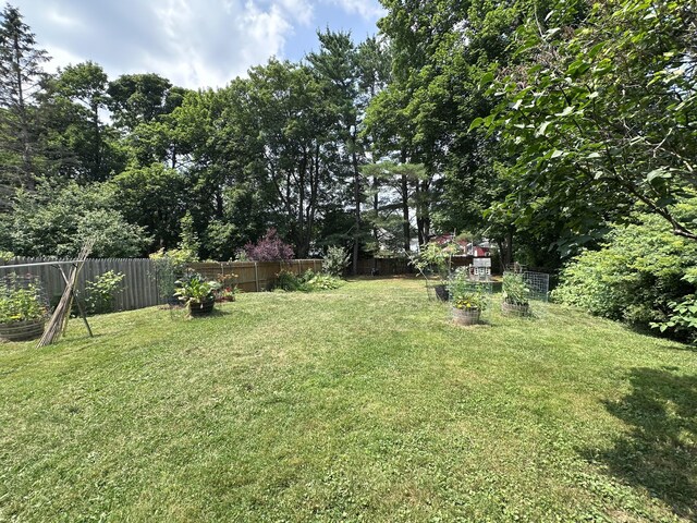 21 Cottage St, Bangor, ME 04401 - photo 11