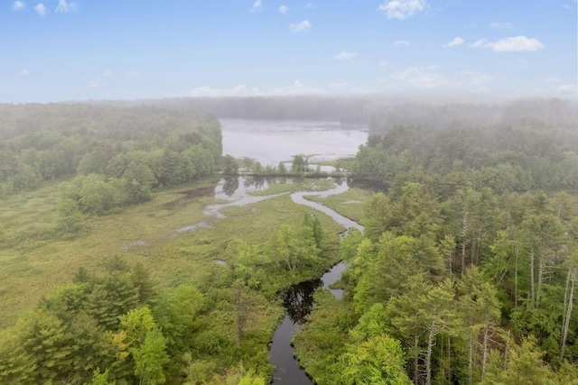 415 Richville Rd, Standish, ME 04084 - photo 47