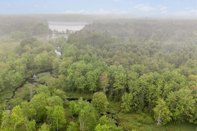 415 Richville Rd, Standish, ME 04084 - photo 48